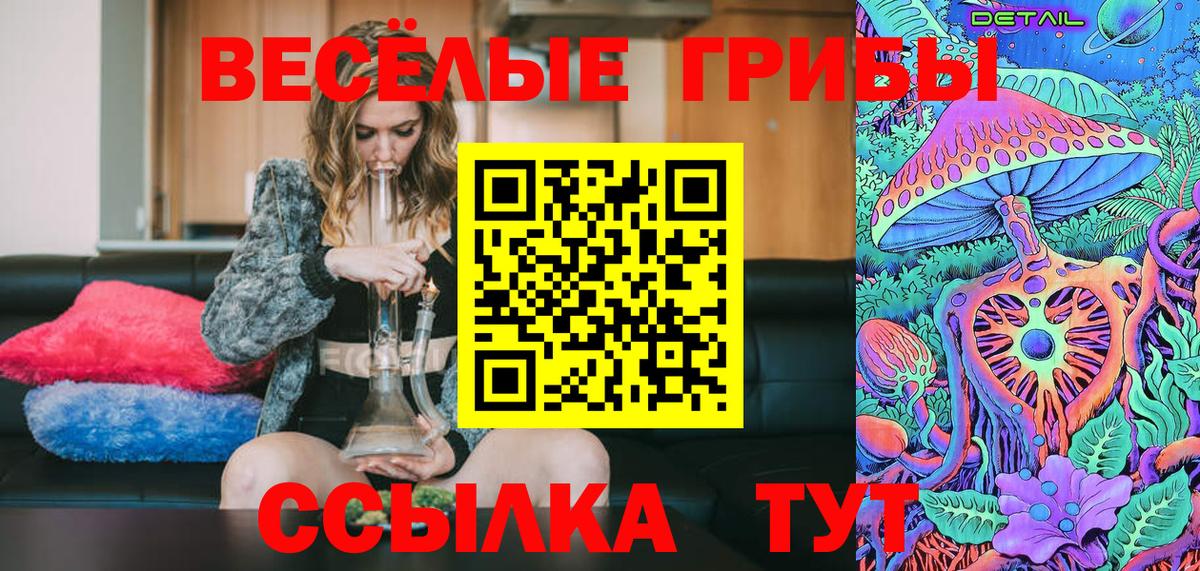 Сертолово  Псилоцибиновые грибы Psilocybine cubensis  Вход с VPN  Галлюциногенные грибы прущие грибы 