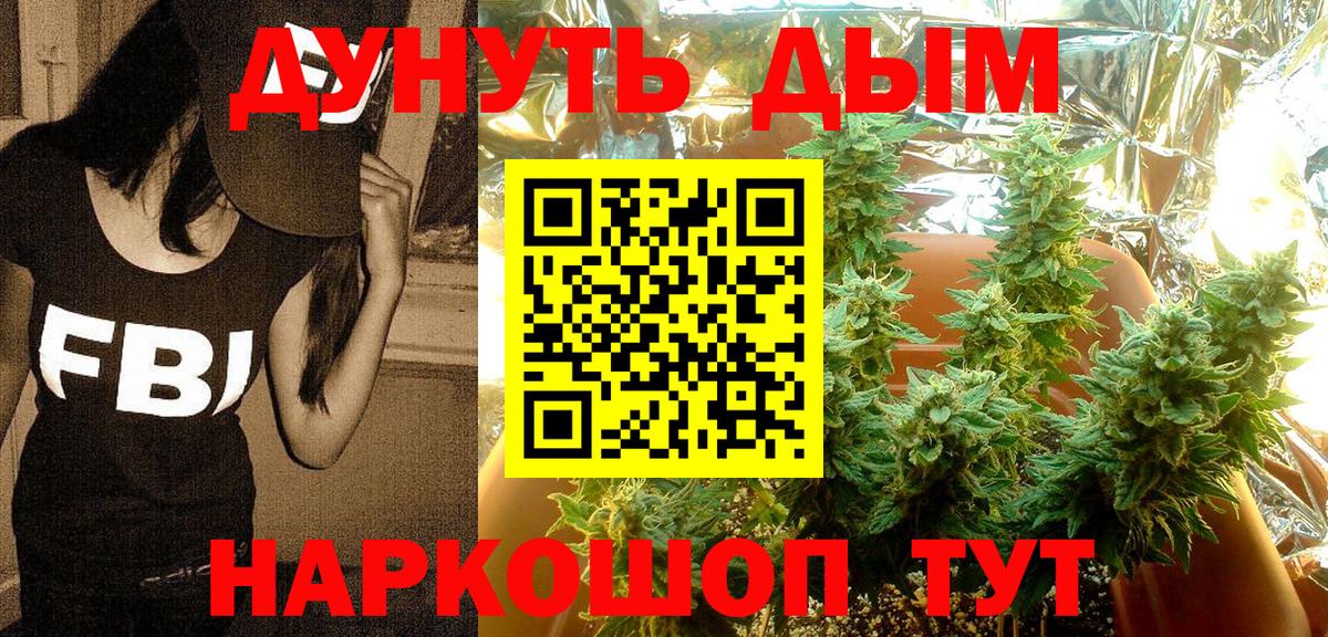 Сертолово  Бошки марихуана SATIVA & INDICA  Марихуана сатива  Вход с VPN  Каннабис SATIVA & INDICA  Бошки марихуана SATIVA & INDICA 